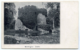 WHITTINGTON CASTLE - Shropshire