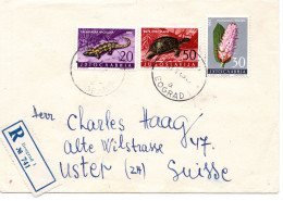 69247 - Jugoslawien - 1963 - 50Din Schildkroete MiF A R-Bf BEOGRAD -> Schweiz - Cartas & Documentos