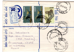 69265 - Südwestafrika - 1989 - R1 Panther MiF A R-Bf AUSSPANNPLATZ -> WINDHOEK - África Del Sudoeste (1923-1990)