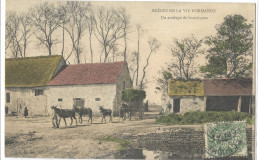 SCENE  DE  LA  VIE  NORMANDE  UN  ATTELAGE  DE  BOURRIQUES - Wagengespanne