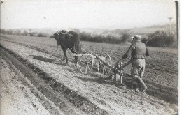 AGRICULTURE   CARTE  PHOTO  SCENE  DE  LABOURAGE - Landwirtschaftl. Anbau