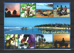 GAMBIE. Carte Postale écrite. - Gambia