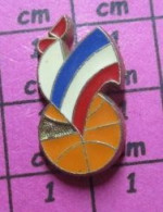 211c Pin's Pins / Beau Et Rare / SPORTS / BASKET-BALL FEDERATION FRANCAISE COQ TRICOLORE - Baloncesto