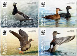 Iceland Island Istande 2011 WWF Rare Water Birds Set Of 4 Stamps Mint - Canards