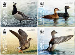 Iceland Island Istande 2011 WWF Rare Water Birds Set Of 4 Stamps Mint - Neufs