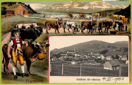Ad4105 - SWITZERLAND  - Ansichtskarten VINTAGE POSTCARD - Chatel St.Denis - 1923 - Châtel-Saint-Denis