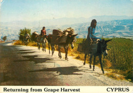 Cyprus Returning From Grape Harvest Types And Scenes - Chypre