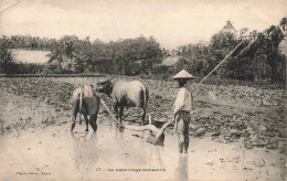 Viet Nam - Saïgon - Le Labourage Annamite - Boeuf - Animé - Pianté - Carte Postale Ancienne - Viêt-Nam