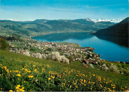 Switzerland Oberageri Mit Hochalpen - Oberägeri