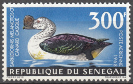 PA N° 66 Du Sénégal - X X - ( E 1874 ) - Canards