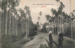 Viet Nam - Saïgon - Une Plantation D'aréquiers - Animé - Carte Postale Ancienne - Viêt-Nam