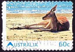 AUSTRALIA 2011 60c Multicoloured, Living Australia- Kangaroo On Beach Self-Adhesive FU - Used Stamps