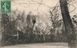 FRANCE - Chantonnay - Château Des Roches Filées - Carte Postale Ancienne - Chantonnay