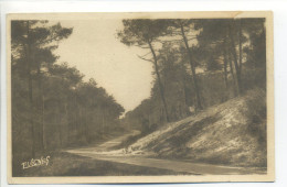 CPA 40 Landes - BISCAROSSE PLAGE - Route De La Plage - Biscarrosse