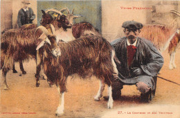 LE CHEVRIER ET SON TROUPEAU - TYPES PYRENEENS - Viehzucht