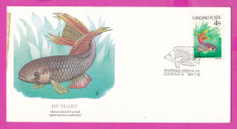 274827 / Hungary FDC Budapest 1987 - 4 Ft. Akváriumi Halak Fish Aphyosemion Multicolor Flora And Fauna Of The World  - Covers & Documents