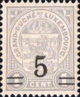 LUXEMBOURG - Armoiries Du Luxembourg (Supplément 5c Sur 1c Gris) - 1907-24 Ecusson