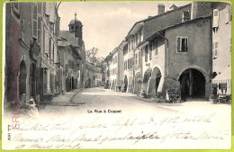 Ad4157 - SWITZERLAND Schweitz - Ansichtskarten VINTAGE POSTCARD -La Rue A Coppet - Coppet