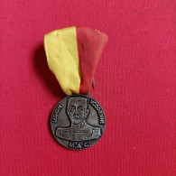 MÉDAILLE DE LA LÉGION VOSGIENNE DES COMBATTANTS / MÉDAILLE ASSOCIATIVE - Andere & Zonder Classificatie