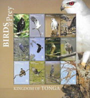 TONGA   - 2018 - BIRDS - UCCELLI - ANIMALS - BIRDS OF PREY  - 12 V. -  MNH - - Aigles & Rapaces Diurnes