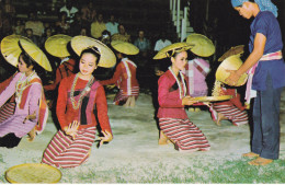 THAILAND . ATRACTIVE DANCING GIRLS IN CHIENGMAI - Thaïlande