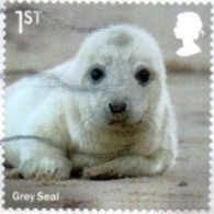 GROSSBRITANNIEN GRANDE BRETAGNE GB 2021 FROM BKLT WILD COASTS: GREY SEAL S/A 1ST SG 4554 MI 4815II YT 5226 SC C4138b - Usados