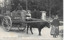 BELGIQUE -  1913 -  ATTELAGE ARDENNAIS - Vielsalm