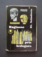 Lithuanian Book / Rugiuose Prie Bedugnės Salinger 1966 - Romans