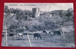 BEAUMONT  -   Vue Prise De Thinmont - Beaumont