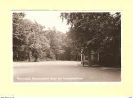 Bloemendaal Bosch Met Pannekoekhuisje RY31705 - Bloemendaal