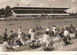 Persfoto Roeien Dames Vier Bosbaan 1955 KE3016 - Aviron