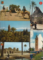 MAROC: Lot De 80 Cartes Postales Modernes Toutes Différentes - Collections & Lots