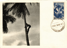 PC FRENCH GUINEA, MAN CLIMBING A PALM TREE, Vintage Postcard (b48515) - Afrique