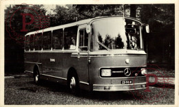 PUBLI. BUS. AUTOBUS. SPEEDWELL TOURINGCARS. DEN HAAG. MERCEDES. - Bus & Autocars