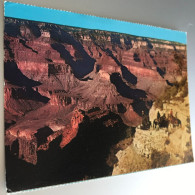 Usa 1987 Grand Canyon Balade En Mules 'head Of Bright Angel Trail' - Gran Cañon