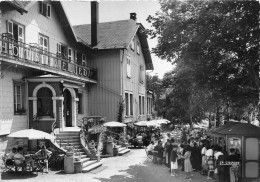 67-LE-DONON- L'HÔTEL VELLEDA - Autres & Non Classés