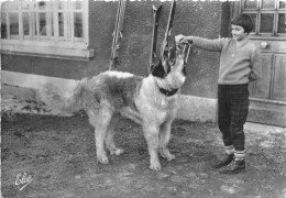 63-LE-MONT-DORE- LE CHIEN SAINT BERNARD ET SA COMPAGNE - Le Mont Dore