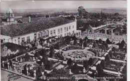 POSTCARD PORTUGAL - CASTELO BRANCO - JARDIM DO PAÇO EPISCOPAL - ASPECTO PARCIAL - Castelo Branco