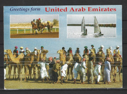 EMIRATS ARABES UNIS. Carte Postale Ayant Circulé. Races In U.A.E.. - United Arab Emirates