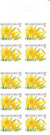 5 3046  B 39   Belgique  Carnet  Floralie Fleurs Floriade Narcisse Des Bois Jaune Trompetnarcis 10-12-2001 13,5€ - Ohne Zuordnung