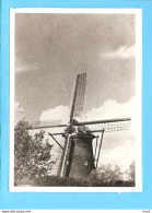 Kinderdijk Molen Foto/repro ML2820 - Kinderdijk