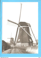 Kinderdijk Molen Foto/repro ML2810 - Kinderdijk