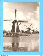 Kinderdijk Molen Foto/repro ML2826 - Kinderdijk