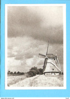 Kinderdijk Molen Foto/repro ML2816 - Kinderdijk