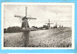 Kinderdijk Molens Overwaard ML2668 - Kinderdijk