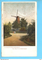 Hertogenbosch Wilhelminapark Molen 1905 RY56732 - 's-Hertogenbosch