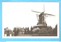 Groenlo Molen Foto/repro ML2916 - Groenlo