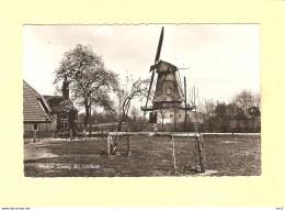 Lochem Molen Zwiep RY35198 - Lochem