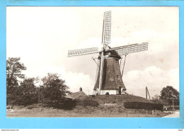 Nunspeet Molen De Duif ML2116 - Nunspeet