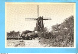 Nunspeet Molen De Duif RY56342 - Nunspeet